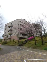 イトーピア神戸藤原台G棟