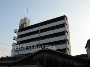 DAXiA-M