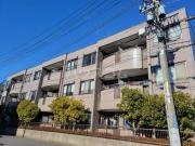 M′s FLAT