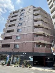 定期借家再契約相談 NETフリー ドミール初台 G