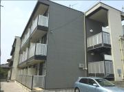 与野アムール
