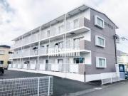 コスモス24