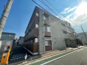Stone Field蓮根