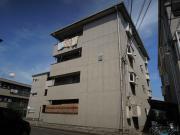 ビートル山本北E