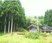 ゲストハウス煙中