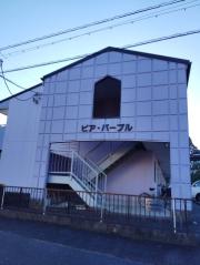 ピア・パープル