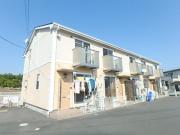 グレースインコゴイ