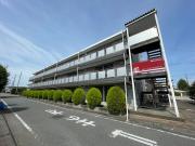 Ms ISHIHARA