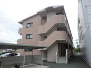 マンションarroz