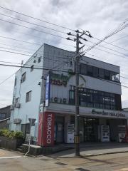 グリーンサムナカシマ