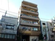 プリヴェ杉