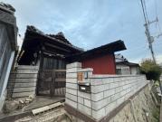 春の木洩れ日とエスプレッソ