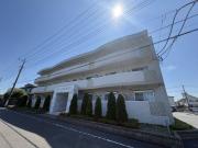 クーチャ 万願寺