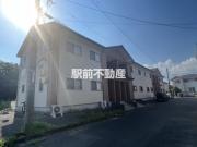 わんだふるコート