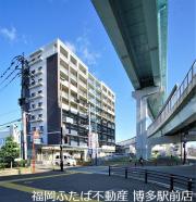 レイ・クレスト