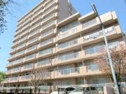 東急ドエルアルス白石