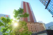 D′sTower
