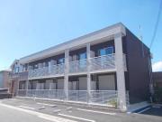カモミール万葉