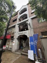 プロミネンス13