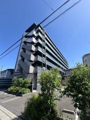 N-stage大和II