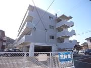 スプリングコート長谷川II
