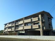IT合川