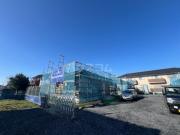 プランドール C