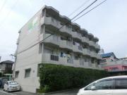 フェリーチェ・カーサ島崎