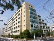 都営大江戸線清澄白河駅まで徒歩9分