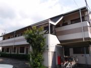 MY TOWN
