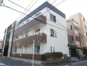 ルピナス清川