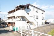 ステラ幾野