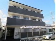 Zoro三筋