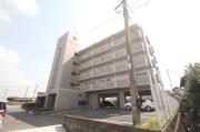 ビューPOINT