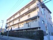 都営大江戸線光が丘駅まで徒歩10分