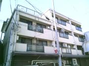 シロハイヌ春日出