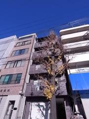 永光ビルディング割塚