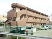 Collection和泉府中