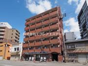 グローバル野田