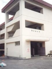 TIハイツ