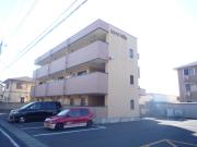 kimi hills