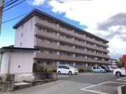第3金堂ビル