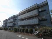 京成電鉄松戸線鎌ヶ谷大仏駅まで徒歩8分