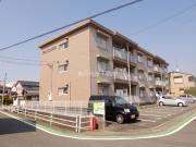 フェニックス