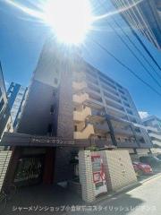アヴィニールグランデ金田
