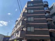 BoaSorte柏