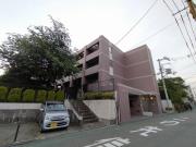 N緑地