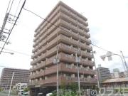 朱雀