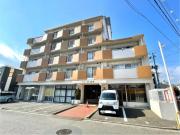 ドミール石川