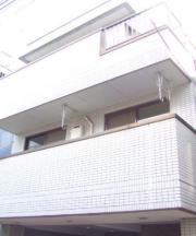 MSコート